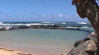 Lydgate Beach Park Kauai  video 1 [upl. by Seilenna327]