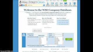 WSO Company Database [upl. by Wilfreda792]