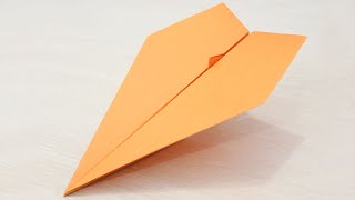 World record paper airplane 2023 [upl. by Hannan572]