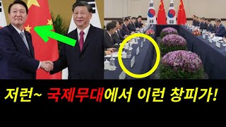 ◆APEC 한중 정상회담의 부끄러운 장면 [upl. by Naujed861]