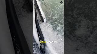 Why You Should Never Pour Hot Water on a Frozen Windshield [upl. by Eiddet884]