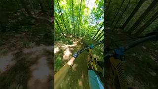 The Flowiest of the Flow in this little town mtb mountainbike mountainbiking [upl. by Zakaria]