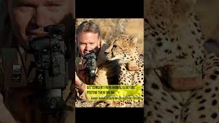 Photographer shows Cheetah its Photo for consent Cheetah Denies funny animals cheetah [upl. by Ddahc]