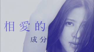 Erika  我們 Us  歌詞版 Lyrics Video  喜鵲Official [upl. by Aicined446]