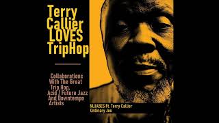 TERRY CALLIER LOVES TRIP HOP  10 NUJABES Ft TERRY CALLIER – Ordinary Joe 2005 [upl. by Alleber]