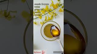 Golden Tea Recipe  अमलतास की चाय  Cassia fistula flower Tea vegtsunami [upl. by Enayd]