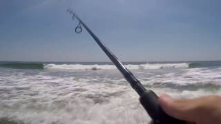 How to Catch Snapper Bluefish From the Surf on Snapper Poppers [upl. by Rehpotsrihc943]