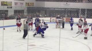 Fight at the Watertown Wolves  Port Huron Prowlers game [upl. by Anotal]