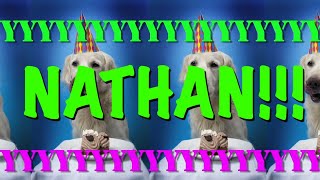 HAPPY BIRTHDAY NATHAN  EPIC Happy Birthday Song [upl. by Wane]