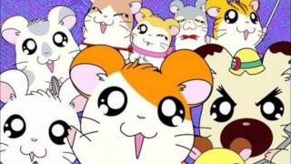 hamtaro ending portugues [upl. by Eisus]