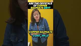 Are the Crystals of Copper Sulphate Dry  Class 10 Chemistry  CBSE Board Exam 2024 [upl. by Enailil828]