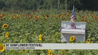 SC Sunflower Festival [upl. by Doran501]