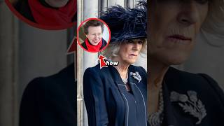 How disgraceful Queen Camilla is in her feud with Princess Anne shorts catherine [upl. by Amero22]