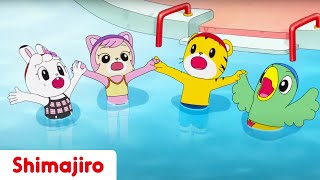 Ready for Pool Season 😎 Courage  24 Minute Compilation  Kids video for Kids  Shimajiro [upl. by Anahsal]