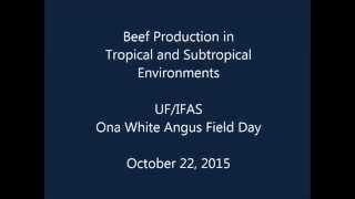 Beef Production in Tropical and Subtropical Environments [upl. by Alliber]