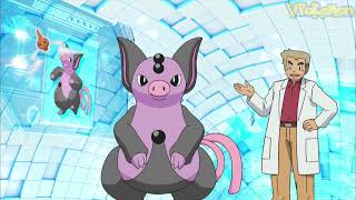 Grumpig attacks Professor Oak  Professor Oak Funny Moments [upl. by Dlanod]