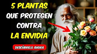 5 PLANTAS que los Budistas Usan para Mantener la Envidia Alejada y Vivir en Paz  Budismo [upl. by Yrod]