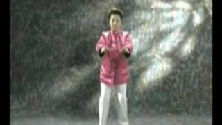 Qi Gong Shibashi 1 parte 1 serie [upl. by Nuahsyd233]