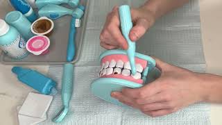 ASMR  REALISTIC Deep Dental Cleaning ✨  Melissa and Doug Dentist Playset [upl. by Dionis]