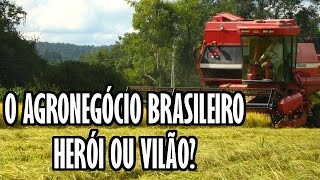 O AGRONEGÓCIO BRASILEIRO – HERÓI OU VILÃO [upl. by Hcurab572]