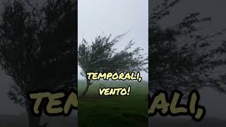 Allerta meteo Emilia Romagna valida dalle 0000 dell 8 ottobre [upl. by Nroht]