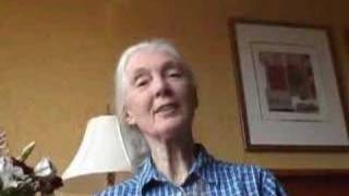 Dr Jane Goodall Supports Roots amp Shoots Campaign [upl. by Gadmon833]