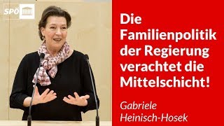 Die Familienpolitik der Regierung verachtet die Mittelschicht  Gabriele HeinischHosek [upl. by Yretsym759]