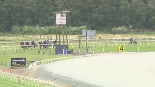 Ashburton Trials 27 11 2024 Heat 7 [upl. by Ayotna]