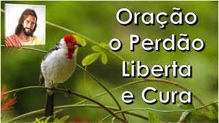 O Perdão Que Liberta e Cura Equipe Bezerra de Menezes [upl. by Nawaj]