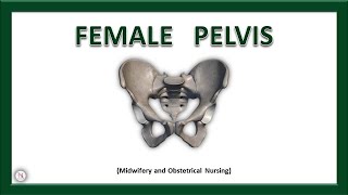 FEMALE PELVIS  Anatomy  Bones  Ligaments  Joints  True amp False Pelvis  The Nurses Station [upl. by Okeim]