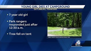 7yearold Georgia girl dies when tree falls on tent at Elkmont Campground rangers say [upl. by Enirbas459]