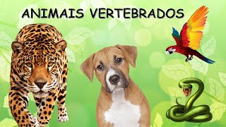 ANIMAIS VERTEBRADOSmamíferosaves peixes répteis e anfíbios [upl. by Gmur]