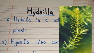 10 lines on Hydrilla Essay on Hydrilla Plant about Hydrilla [upl. by Reisman]