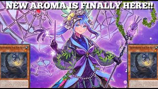 NEW AROMA CARDS FINALLY Plus Ragnaraika Combo Engine  Yugioh Master Duel [upl. by Aivataj560]