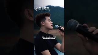 Đâu Là Ngày Mai  Thái Học Cover  Ngày nào là ngày tìm lại những thứ đánh mất… htqmusic shorts [upl. by Telrahc906]