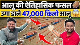 ये खेती नहीं शेयर मार्केट है पानी की तरह मिलेगा पैसा💰🤑💯Profitable Potato Farming  Indian Farmer [upl. by Hoseia]