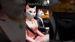 AI Dancing Cats An Accuracy Analysis [upl. by Lilybelle757]