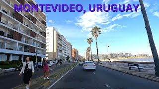 STREETS OF MONTEVIDEO URUGUAY EPISODE 1 [upl. by Megen]