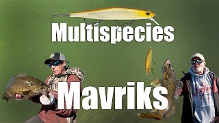 Multispecies Mavriks [upl. by Tedi]