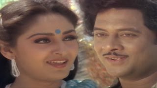 Parimalinchu Video Song  Puli Bebbuli Movie  Krishnam RajuChiranjeeviJayapradhaRadhika [upl. by Rangel462]