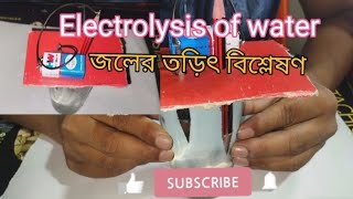 Electrolysis of water জলের তড়িৎ বিশ্লেষণ। [upl. by Ecidna]