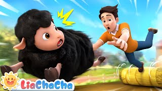 Baa Baa Black Sheep  EP23  Classic Song for Babies  LiaChaCha Nursery Rhymes amp Baby Songs [upl. by Schwarz]