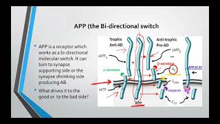 How to reverse Alzheimers disease Dr Dale Bredesen protocol The first section [upl. by Zenia963]