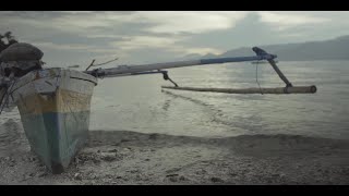 Indonesian Dugong and Seagrass Conservation Project [upl. by Tobin]