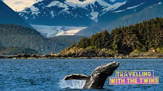 Whale watching in Juneau Alaska [upl. by Lechar]