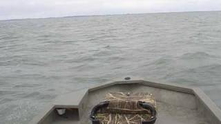 Mercury 50 hp Tracker Grizzly 1754 Galveston [upl. by Amias828]