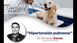 Webinar 08 Julio quotHipertensión pulmonarquot [upl. by Winikka]