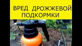 ВРЕД ДРОЖЖЕВОЙ ПОДКОРМКИ КАК УДОБРИТЬ ДРОЖЖАМИ И НЕ ПОГУБИТЬ РАСТЕНИЯ [upl. by Aneret]