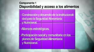 Plan Decenal de Salud Pública Seguridad alimentaria [upl. by Adlemy970]