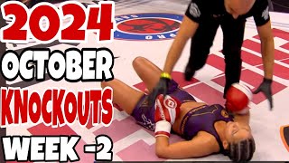 MMA amp Boxing Knockouts I October 2024 Part 2 [upl. by Cooe]